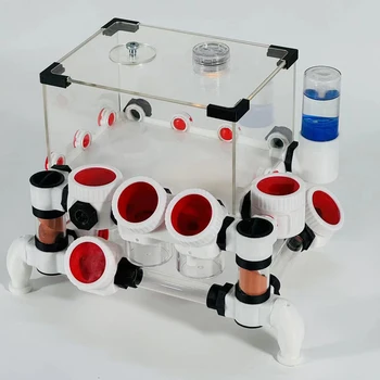 Expandable Ant Farm 1