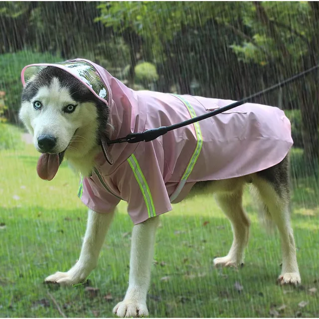 XXXL Large Dog Hoodie – Waterproof, Fashionable & Designer Pet Apparel 2