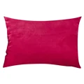 Rose Red