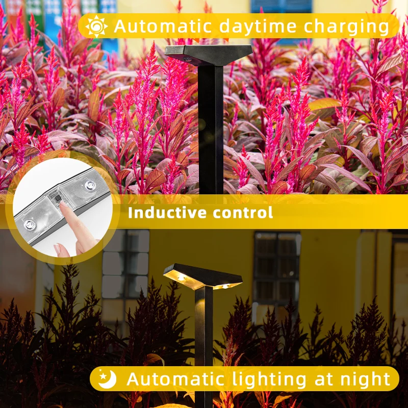 Solar-Powered Garden Lights