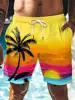 2024 Summer 3D Prints Hawaiian Vacation Style Printing Shorts Men's Casual Board Shorts Swim Trunks Drawstring Breathable Short 1