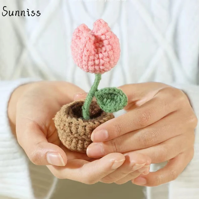 DIY Crochet Potted Flowers Kit Creative Elegant and Cute Various Flowers  Learn Crochet Skill for Improving Hands-on Ability