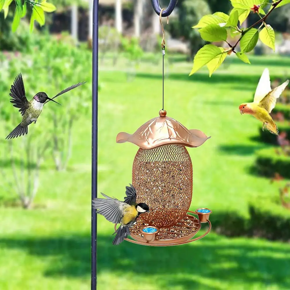 Mangeoires à oiseaux sauvages en métal répulsif, mangeoires à