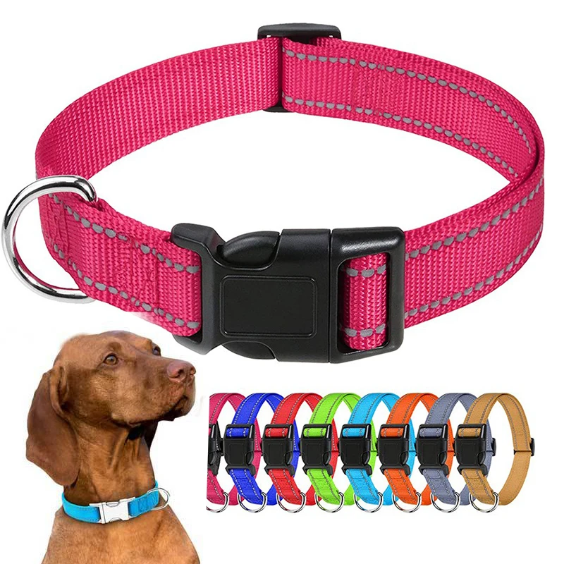 Decorative Choker Dog Collar 1