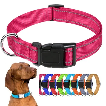 Decorative Dog Choker Collar 1