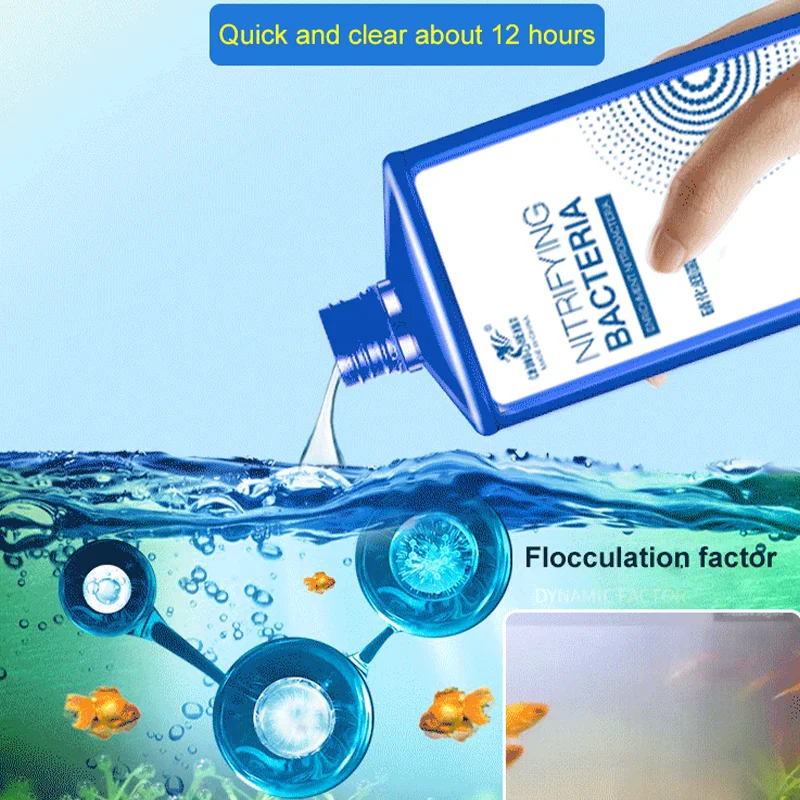 Store Home Products Getaway Deals Feedback