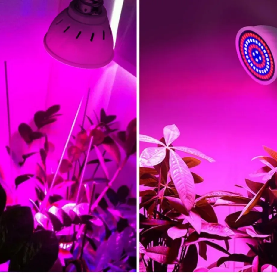 LED Grow Light Grow Light LED Bulb Lamp 2Pcs LED Grow Full Spectrum Bulb E27 E14 GU10 MR16 220V Greenhouse Hydroponic Lamp Grow Light For Indoor Plant Phyto Flower Lamp