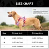 Dogs Chest Strap Dog Harness and Leash Set Small Pet Supplies Puppy Accessories Big Breeds Pets Backpack Large Collar 6
