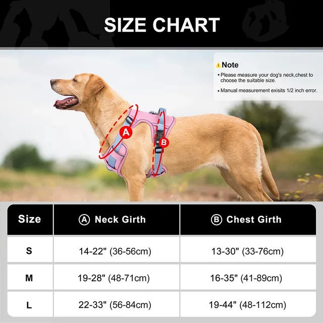 Dogs Chest Strap Dog Harness and Leash Set Small Pet Supplies Puppy Accessories Big Breeds Pets Backpack Large Collar 6
