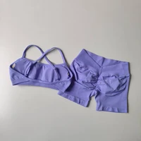 Women's 2-Piece Yoga Suit Seamless Fitness Suit Gym Clothes Sports Bra Impact Shorts Set Workout Set Gym Outfit - Image 5