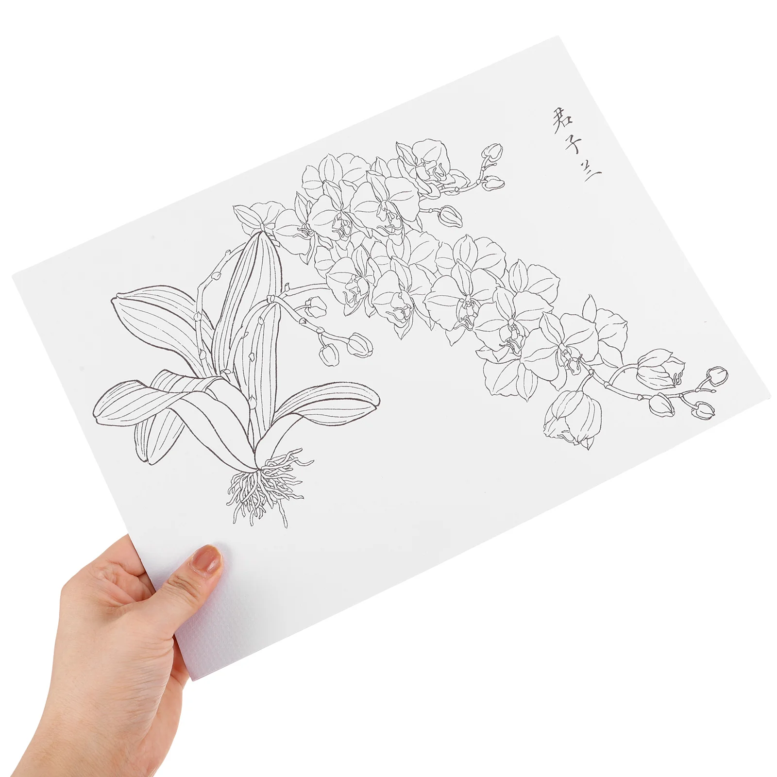 Рисунок 6 - Бумага для рисования акварельными красками