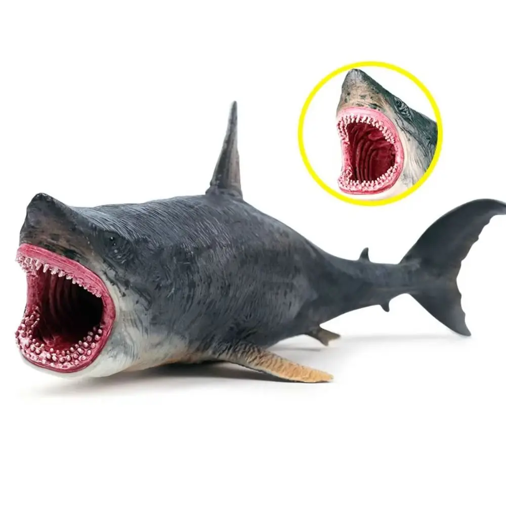 Plastic Sea Life Animals Model Realistic Handmad Ocean Animals Ornaments Collectible Crafts Simulated Shark Decorations