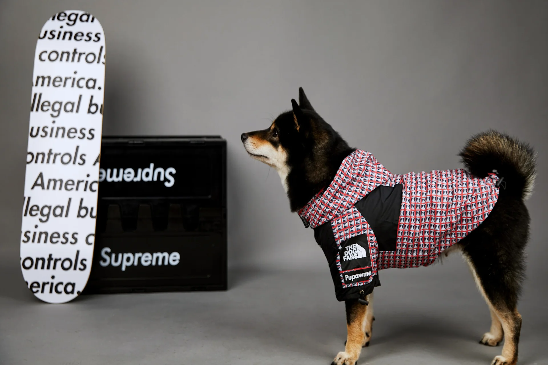 Supreme 見守ろ GORE-TEX Dog Jacket / Black Sサイズ