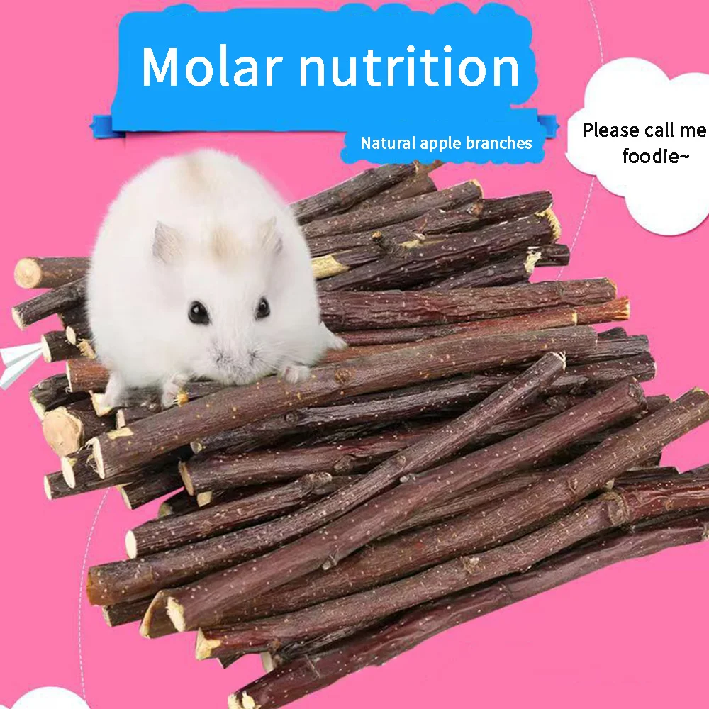Apple Molar Stick 5