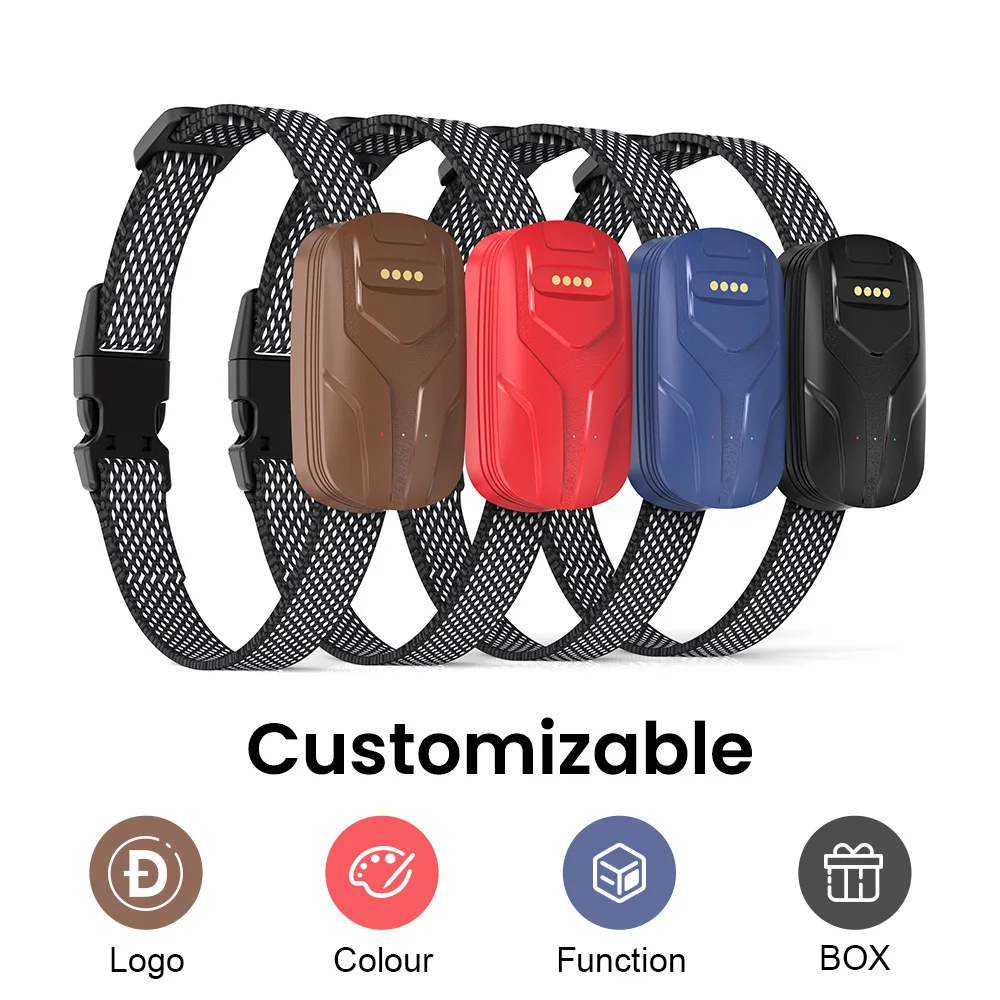 Real-Time GPS Pet Tracker Locator