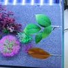2480-3fb8b2.jpg Artificial Betta Fish Bed Simulation Betta Leaf Bed Betta Hammock Pad with Suction Cup Aquarium Decor Fish Supplies decoracion