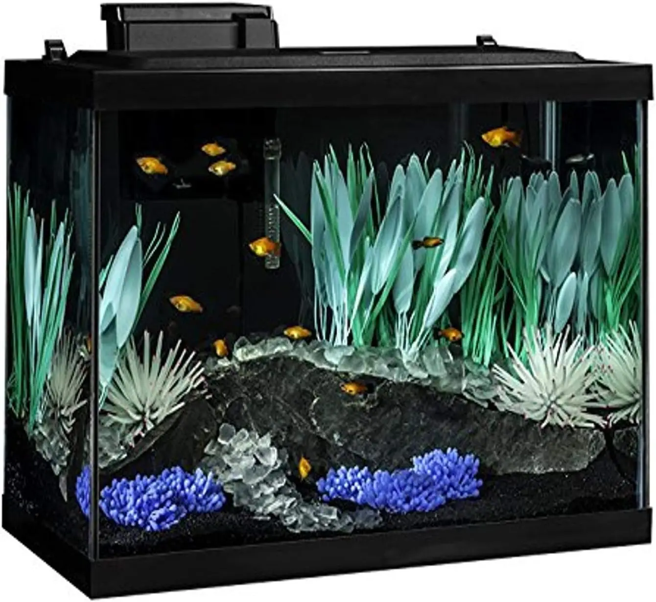 

2024 USA ColorFusion Aquarium 20 Gallon Fish Tank Kit, Includes LED Lighting and Decor