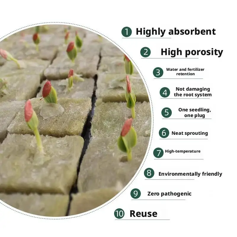 Enhanced Seed Starter Cubes for Optimal Germination and Growth - Soilless Planting Solution