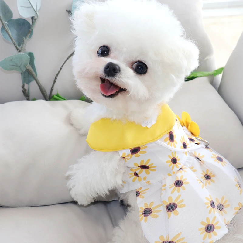 Dress Cute Summer Dog & Cat - PeticaDeals