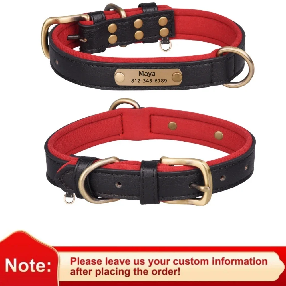 Personalized Soft Padded Leather Dog Collar and Leash with Engraved Nameplate