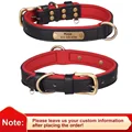 Black Collar