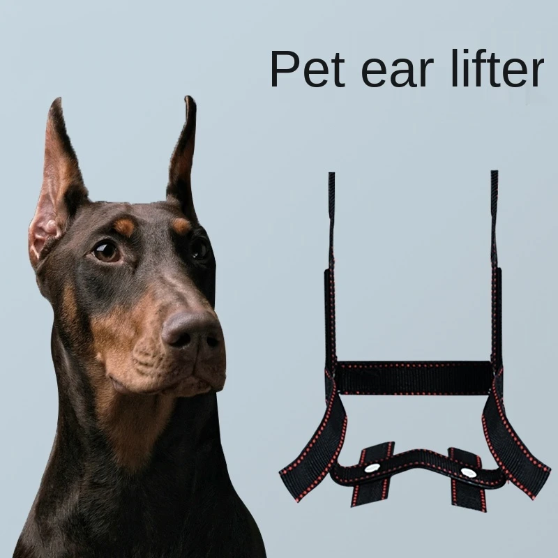 Soporte de oreja para mascotas, de corrección de soporte fijo para perros, Doberman, medianos y grandes, Vertical para cachorros, accesorios para perros| | - AliExpress
