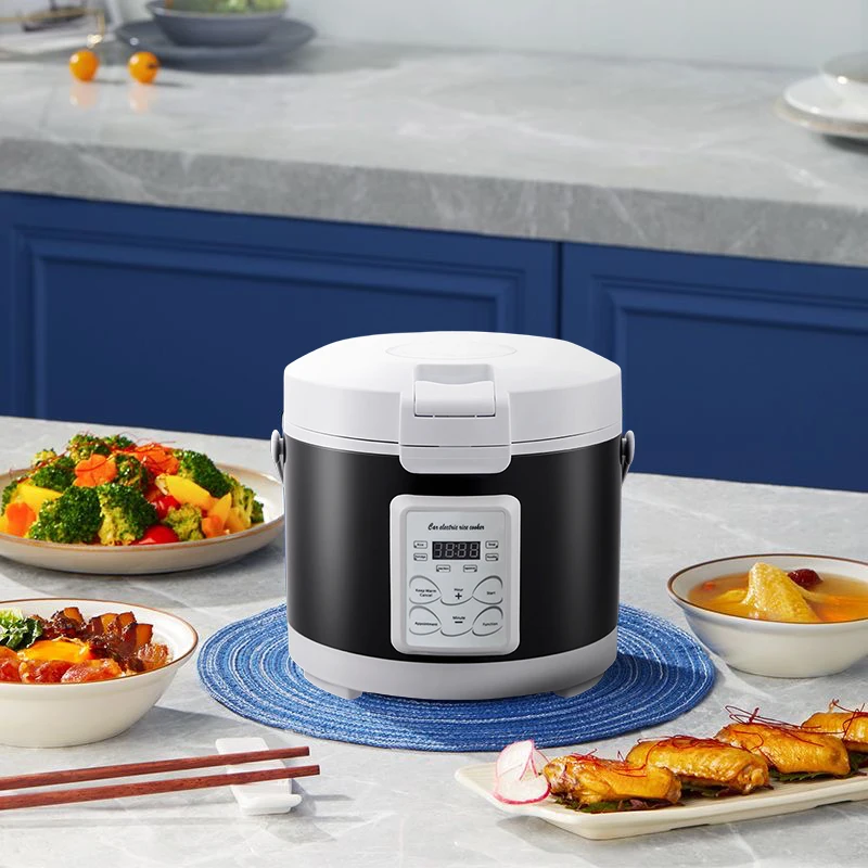 220V Mini Rice Cooker soup Steamer Heating Lunch Box Meal Heater Warmer 3L for Camping Black English Menue  home appliance u 2