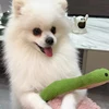 Pet Snake Interactive Toy 5