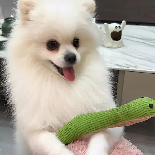 Hot Sale Dog Toy Snake Interactive Toy Kitten Kick Toy Interactive Pet Toy for Indoor Cats 16.5 Inches Pet Supplies - Image 5
