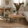 Farmhouse Round Coffee Table Set of 2,Cocktail Table Set,Modern Circle Natural Wood Finsh Side and End Table Sets Planar,Natural 4