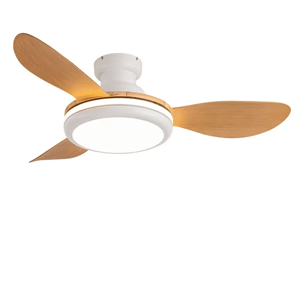 

Фонарь потолочный, 220 В, с дистанционным управлением