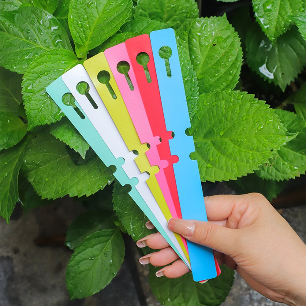 Flower Plant Labels 100PCS Pvc Waterproof Ring For Seedlings Orchids Garden Floral Markers Plastic Signboards