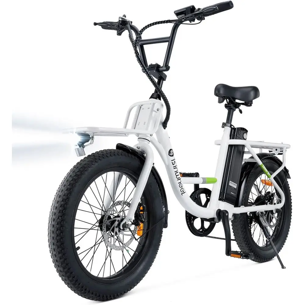 Cargo Cruiser Electric Bike 2