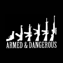 

Personalized Car Stickers Car Styling AND DANGEROUS ARMED Windows Waterproof and Sunscreen Vinyl Decals,15cm*10cm