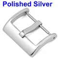 Polished Silver