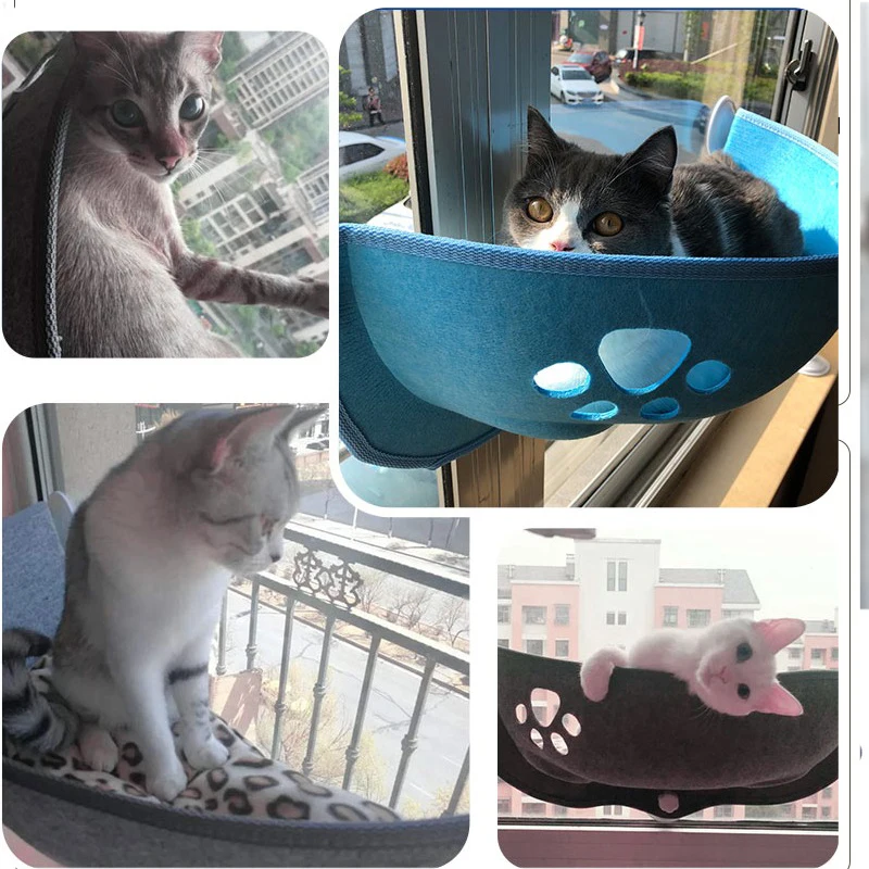 Cat Window Hammock 2