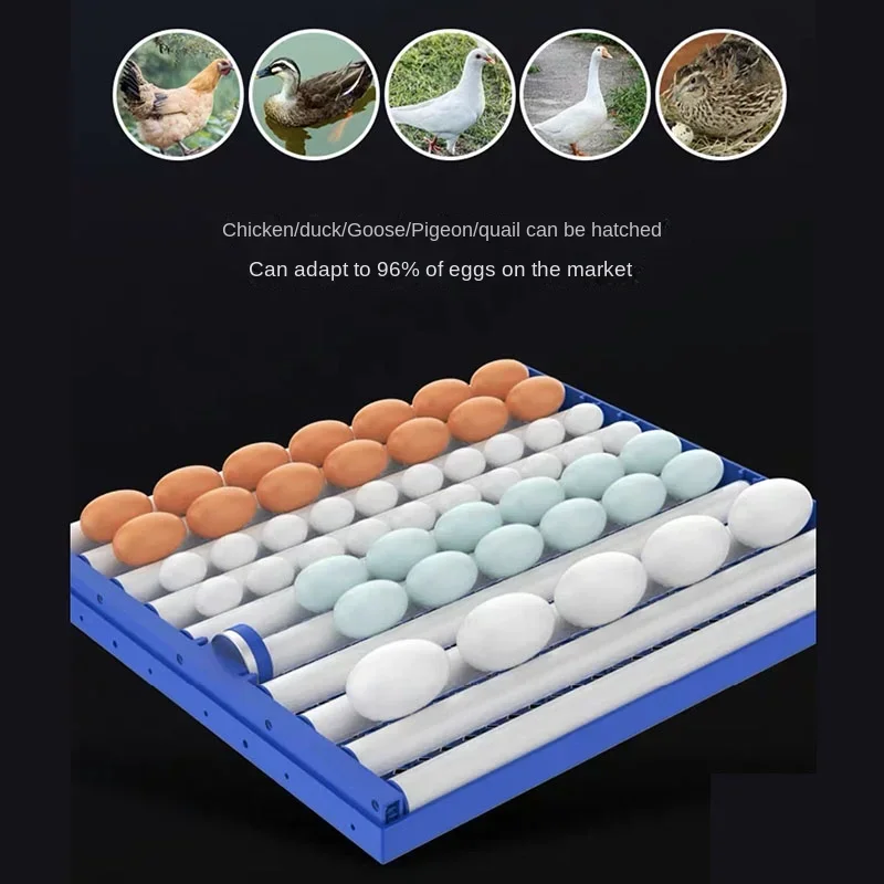 204/136 Eggs Intelligent Large And Medium-Sized Household Full-Automatic Chicken Duck Goose Quail Incubator