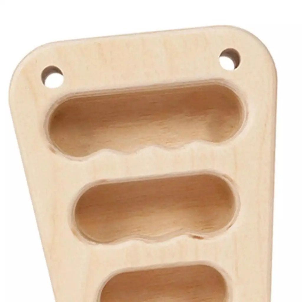 Climbing Hangboard Finger Strengthener Building Core Strength with Hanging Ropes