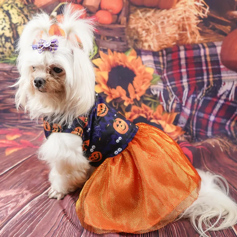 Halloween Pet Costume Funny Pumpkin Dog Cosplay Clothes Autumn Winter Pet  Clothes For Dogs And Cats Festival Party Dress Up Apparel - Temu Australia