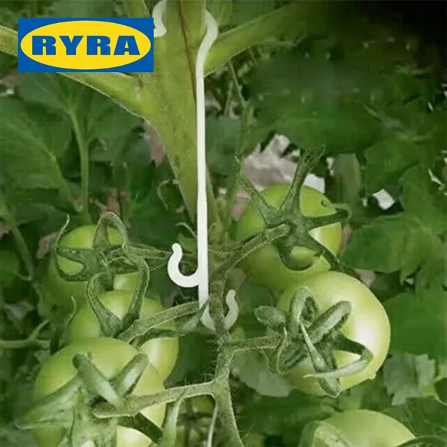 Paradicsom Tartó J Horgok Növénytámogató Zöldségklipek, Hogy Megakadályozzák A Gyümölcscsoportját, Megcsípje Vagy Leesjen Csathorog