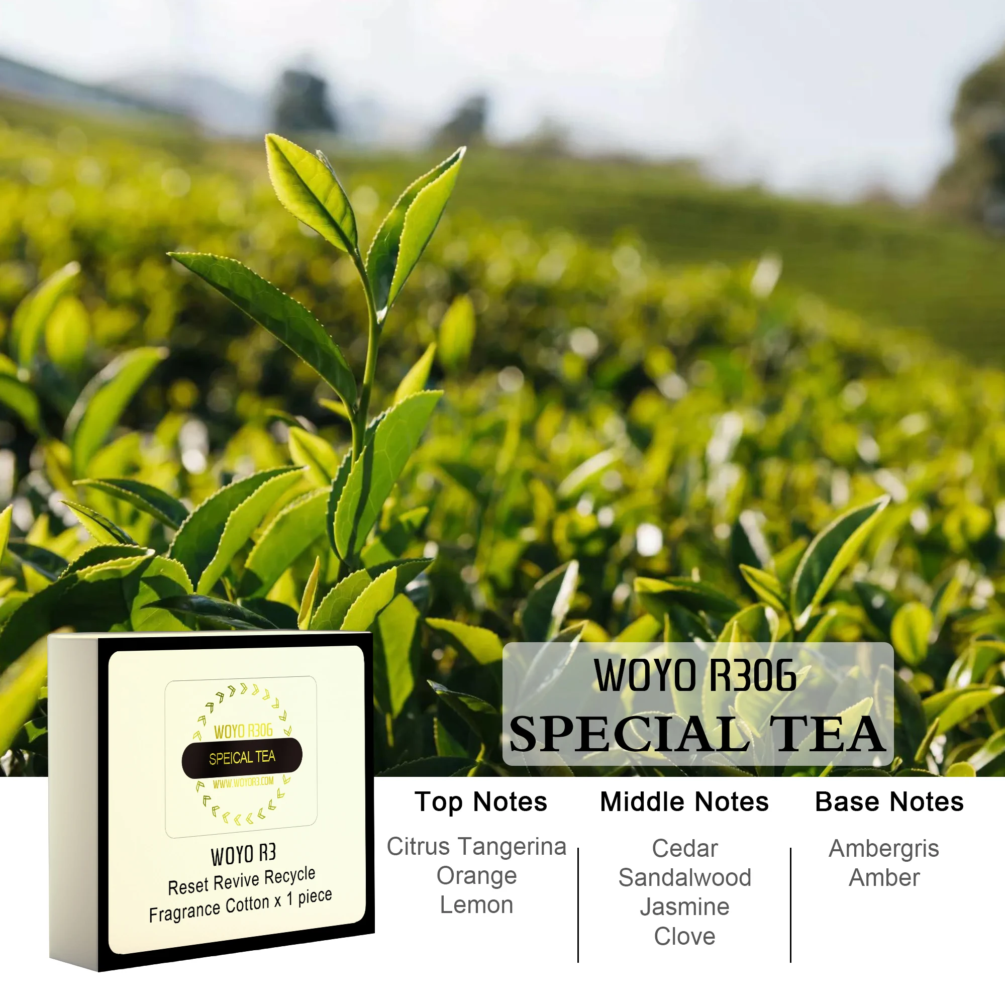 R306 Green Tea