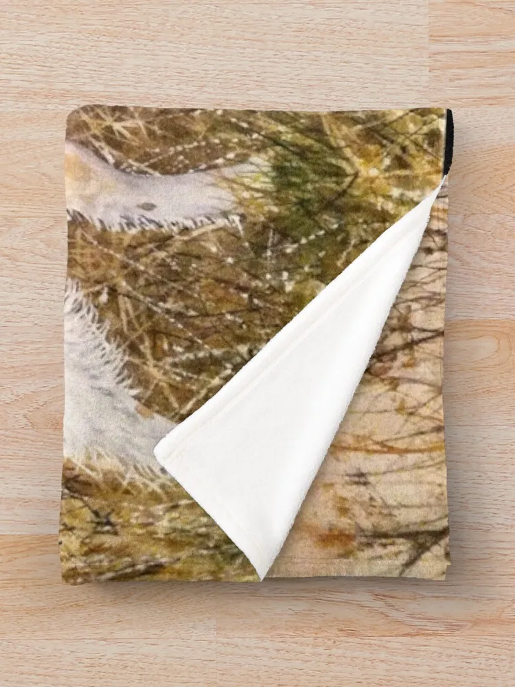 �긮Ÿ�� ���дϾ� ���ο� ���, ǫ���� ħ�� ����, ���Ÿ� ���� ���