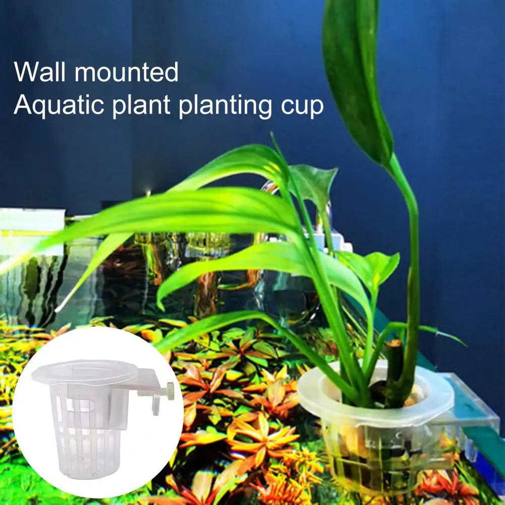 

2Pcs Aquatic Plant Cup Hollowed Out Wall-mounted Reduce Nitrate Emersed Plant Hydroponic Planting Cup Fish Tank Accessories