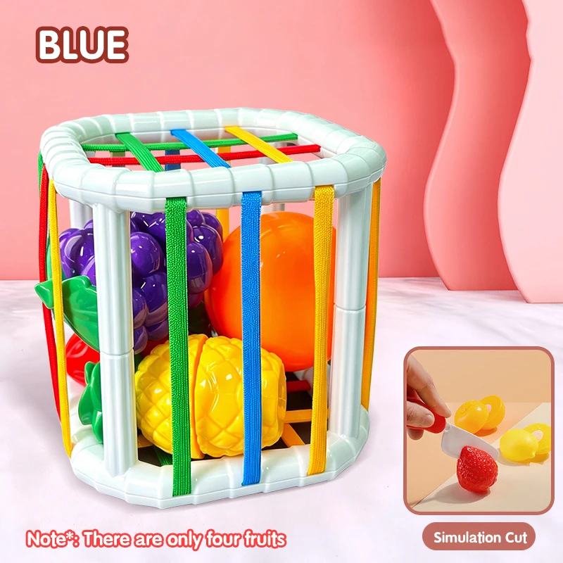 Montessori Sensory Development Blocks Sorting Game