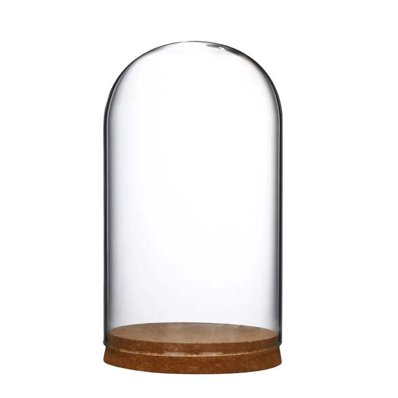 18pcs 12x21cm Clear Glass Hemisphere Cover Glass Dome Covers Protect Dry Flower For Flower Succulent Plant Vase Wood Table Decor