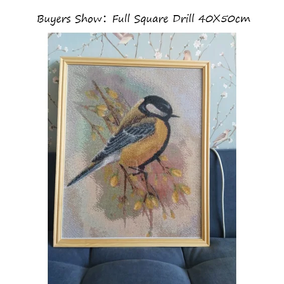 Diamond Painting Evershine 5D Diamond Painting Birds Full Square Diamond Embroidery Animal Pictures Of Rhinestones Mosaic Home Decoration