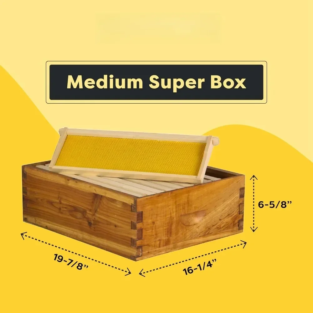 The Original Beeswax Coated Beehive Kit, Includes 2 Deep & 1 Medium Boxes with 10 Wooden Frames & Heavy Wax Coated Foundations