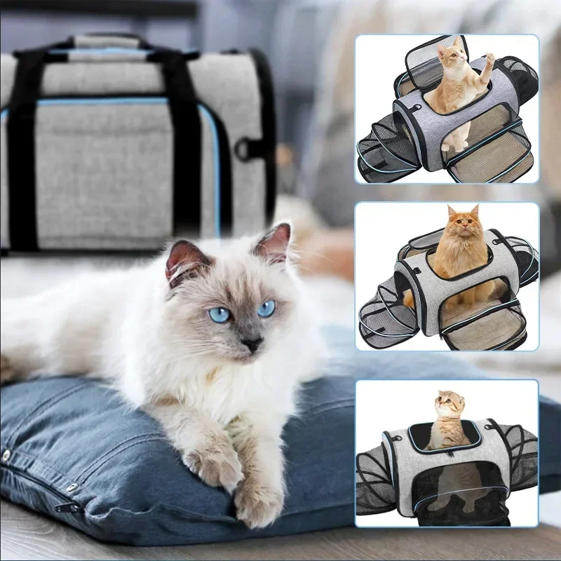 Mochila portátil para gatos, bolsa de viaje plegable y extensible para mascotas, transportador transpirable aprobado por aerolínea para mascotas, accesorios para perros y mascotas 5
