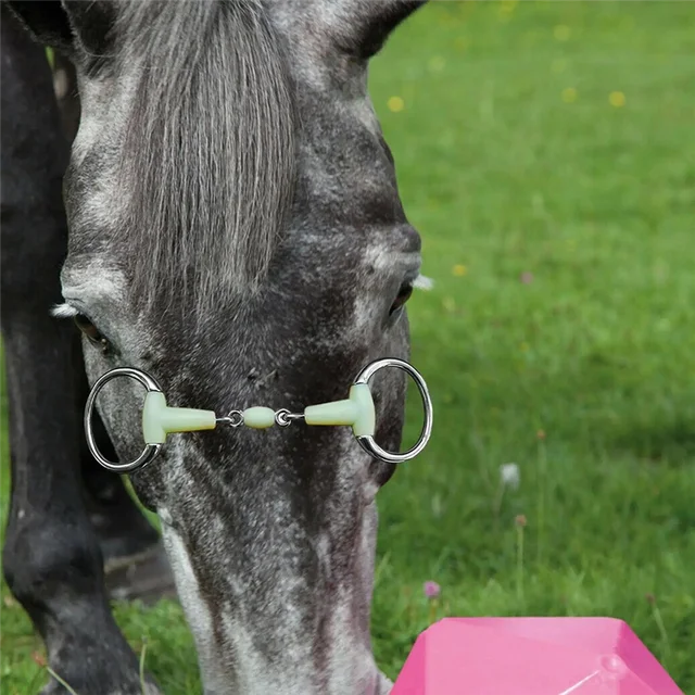 XSXS-Horse Snaffle Bit, Stainless Steel Loose Ring Horse Mouth Bit, Loose Link Horse Mouth Bit For Horse Training And Riding 5