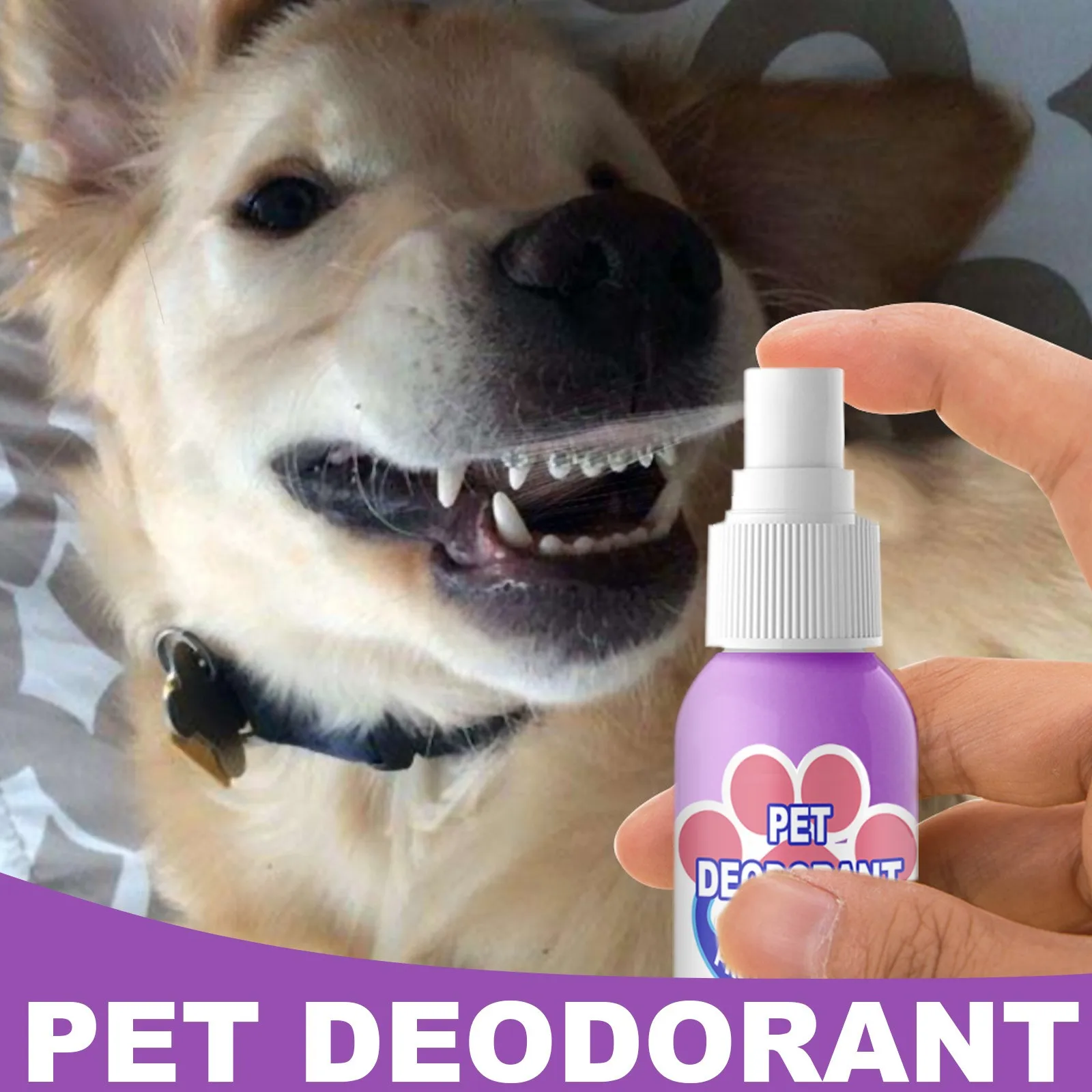 Pet Teeth Breath Cleaning Freshener Dog Cat Spray Care Cleaner 60ml Simple And Cute New Fashion Pet Litter & Housebreaking